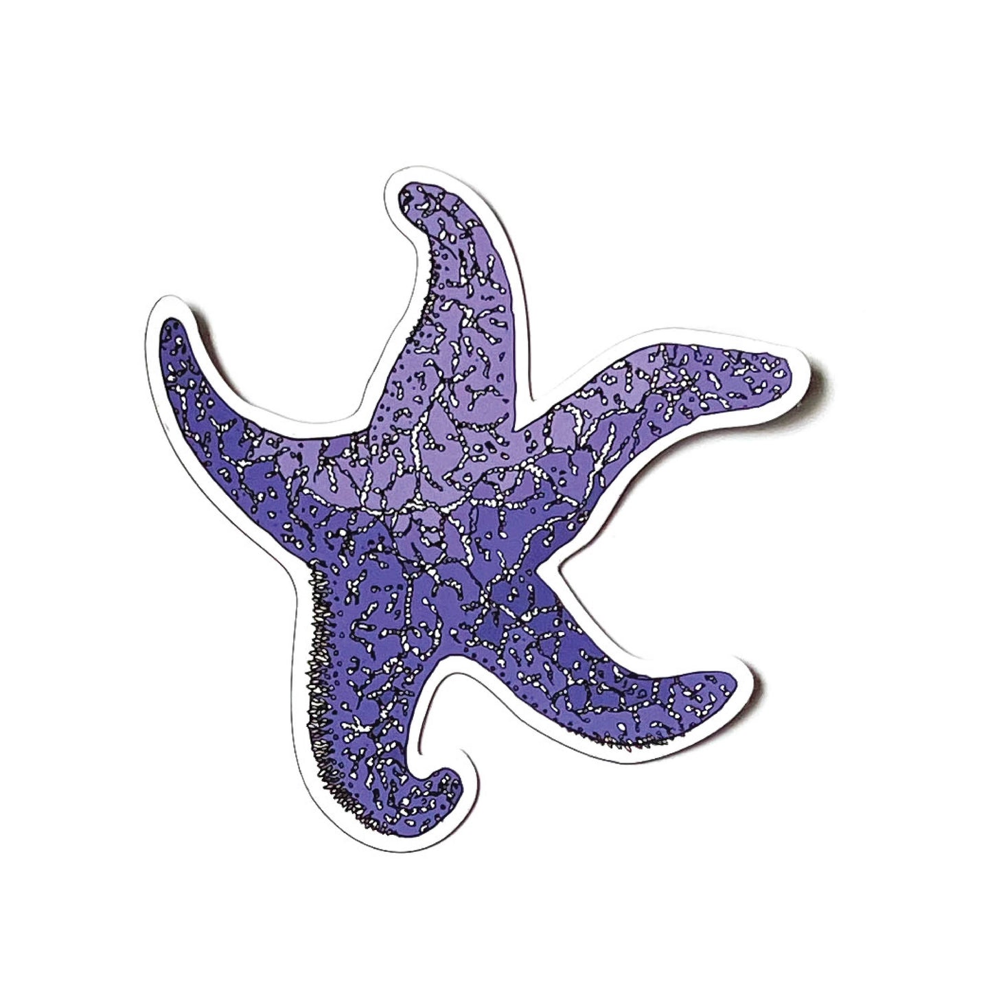 Purple Sea Star Magnet