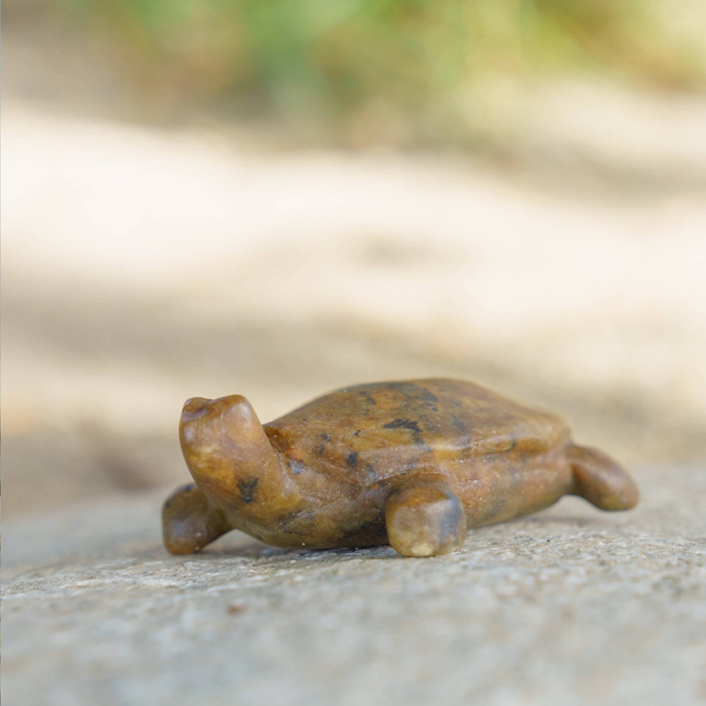Turtle Soapstone Carving Kit