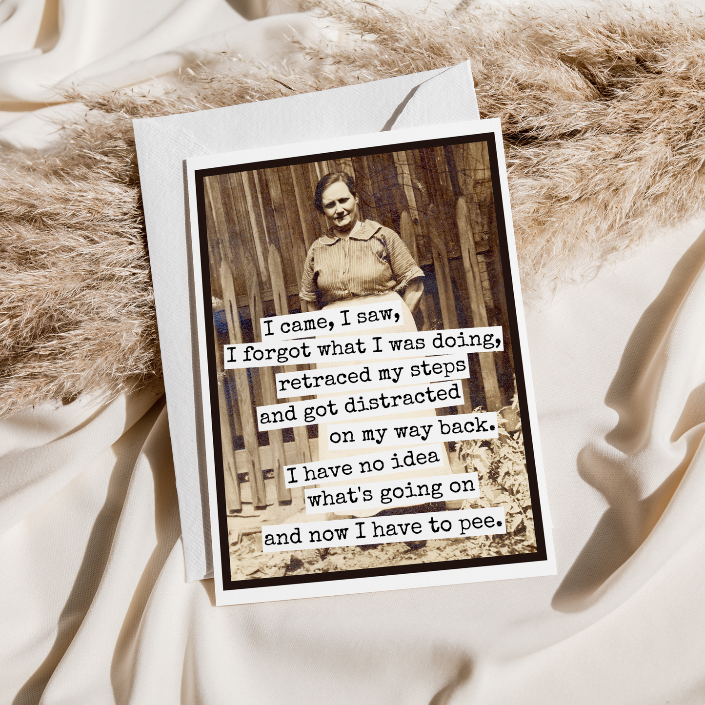 Funny Greeting Card. I Came, I Saw, I Forgot What I Was Doin