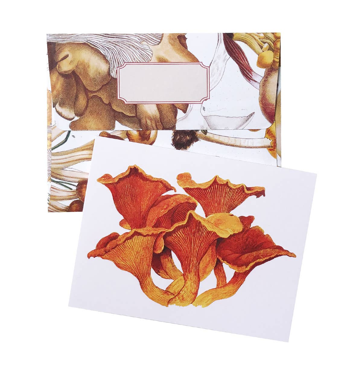 Boxed Set of 8 Vintage Mushroom Greeting Cards
