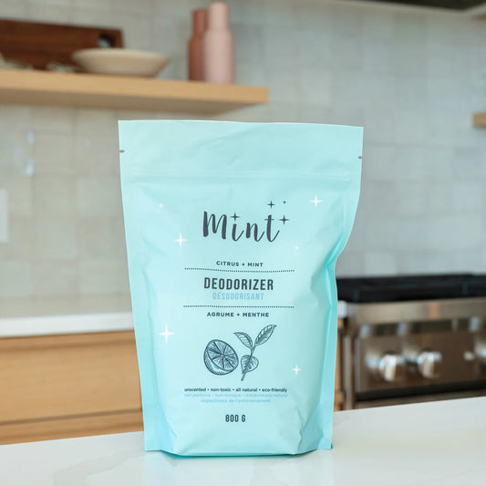 Deodorizer - Mint - Pouch