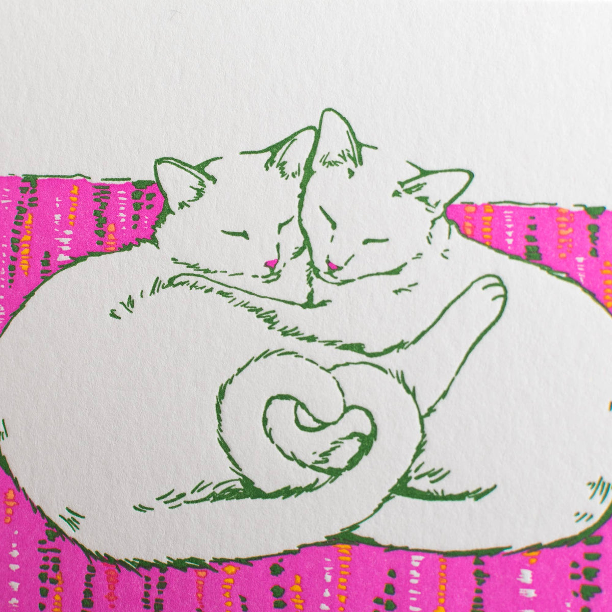 Colour Your Cats - Love Interactive Greeting Card