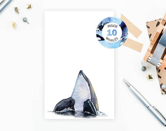 Notepad - 10 Whales Blank Pad