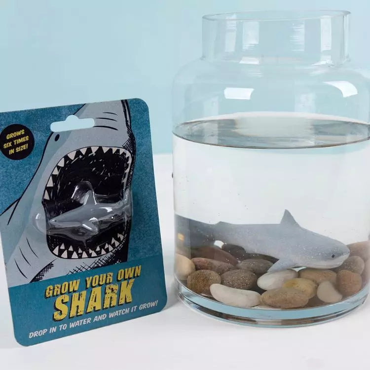 Grow your own Shark