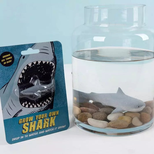 Grow your own Shark