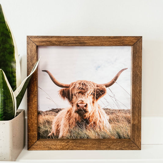 Highland Cow Framed Wooden Sign-knotty design